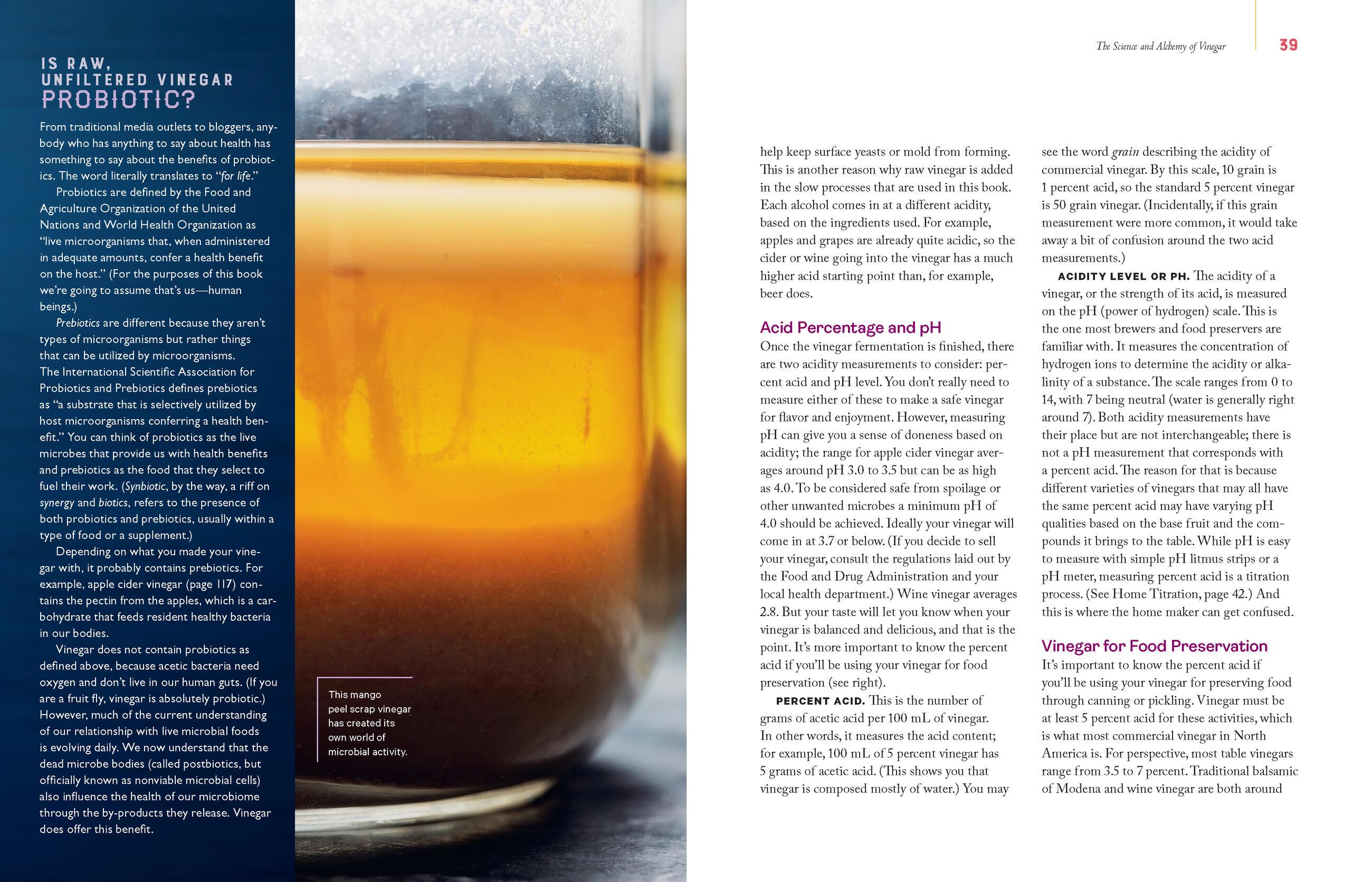 Beispielinhalt (Bild) Homebrewed Vinegar