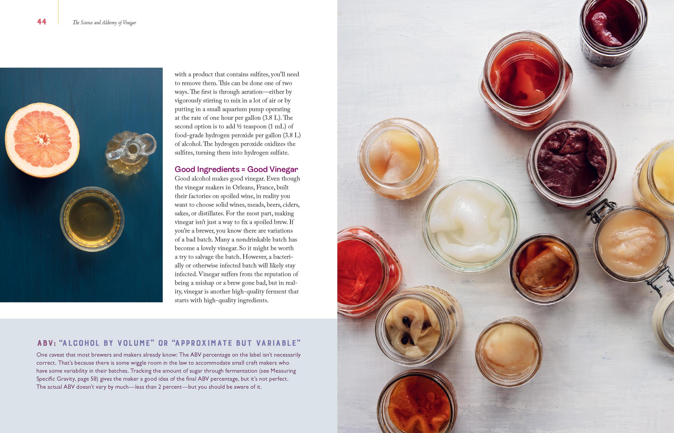 Beispielinhalt (Bild) Homebrewed Vinegar