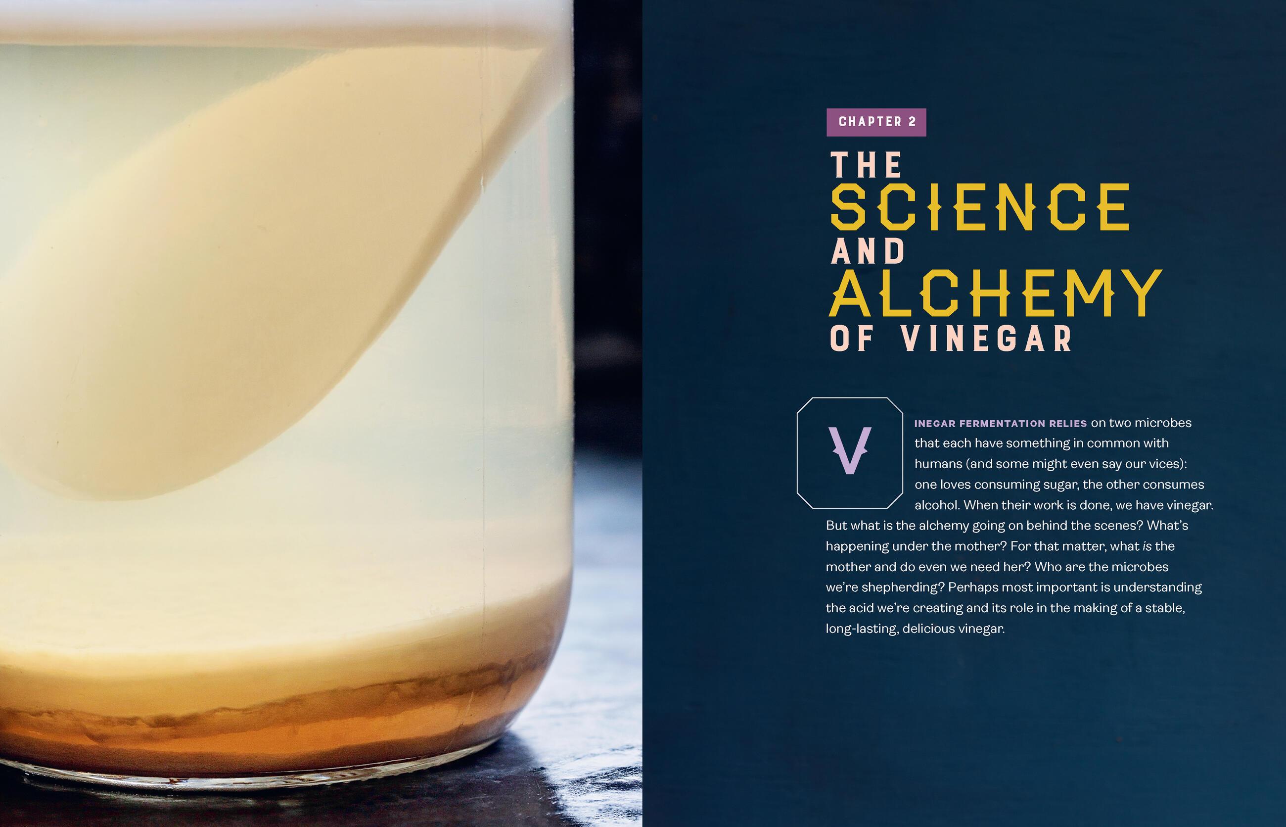 Beispielinhalt (Bild) Homebrewed Vinegar