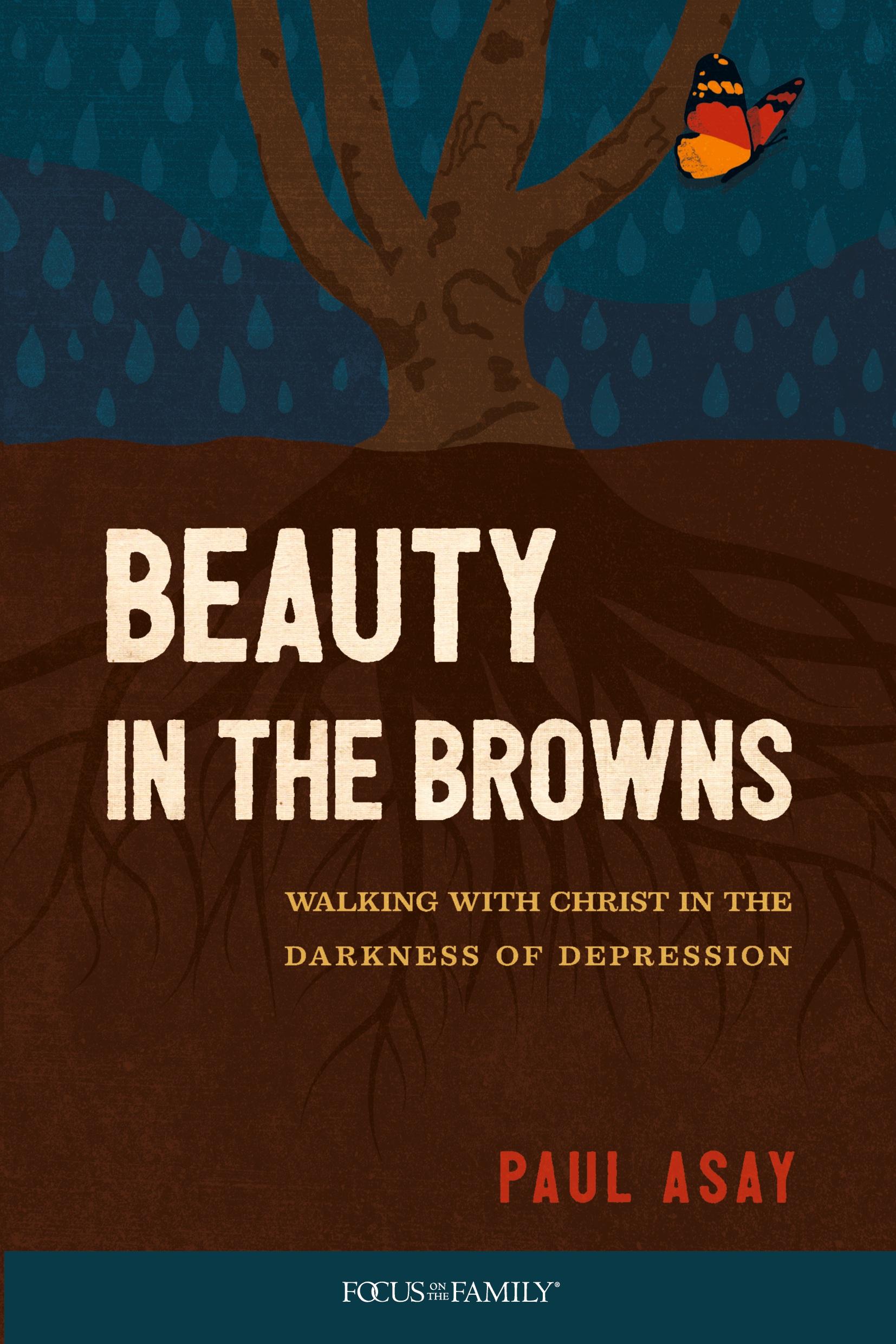 Vorderes Coverbild Beauty in the Browns