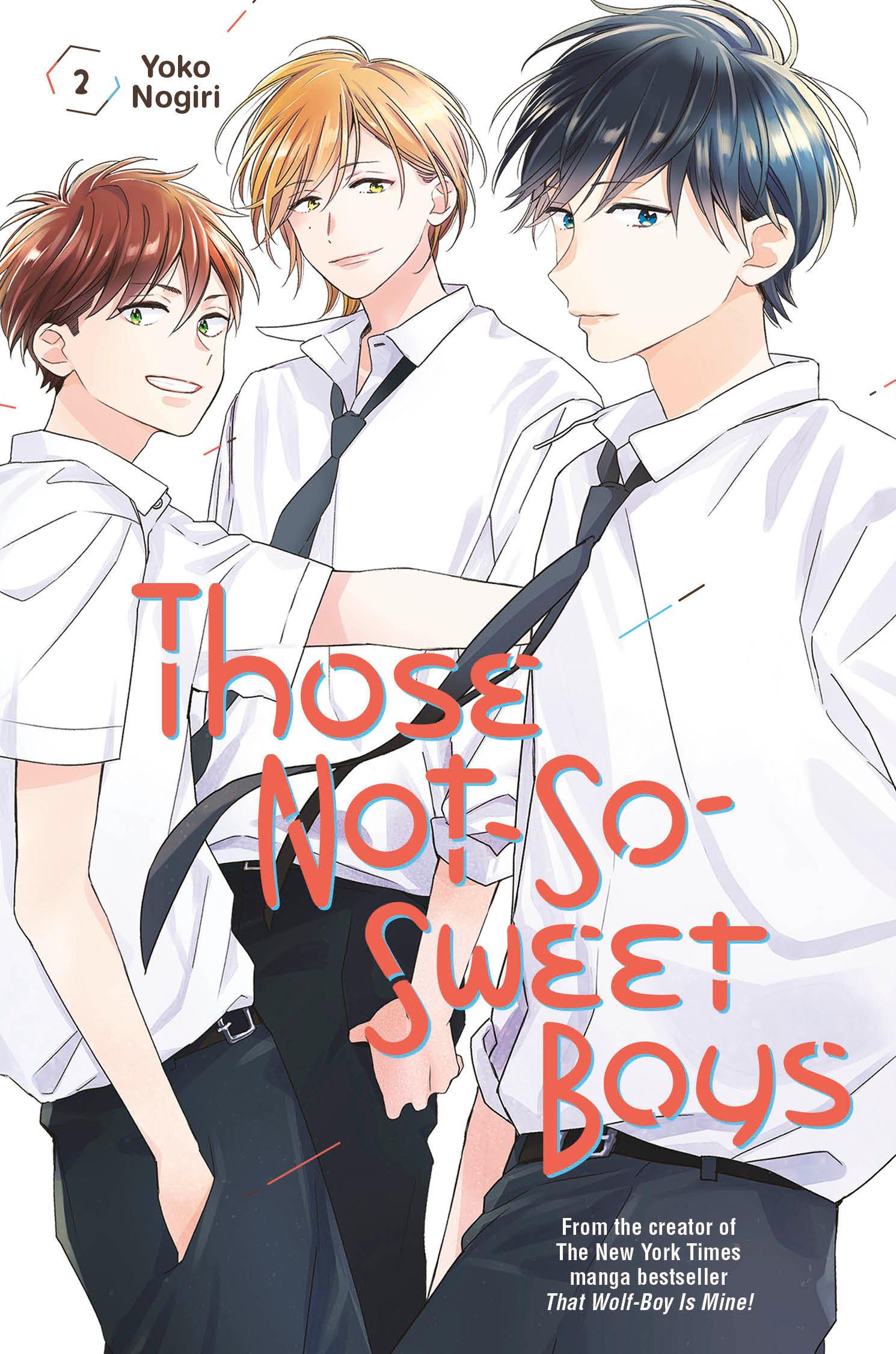 Vorderes Coverbild Those Not-So-Sweet Boys 2