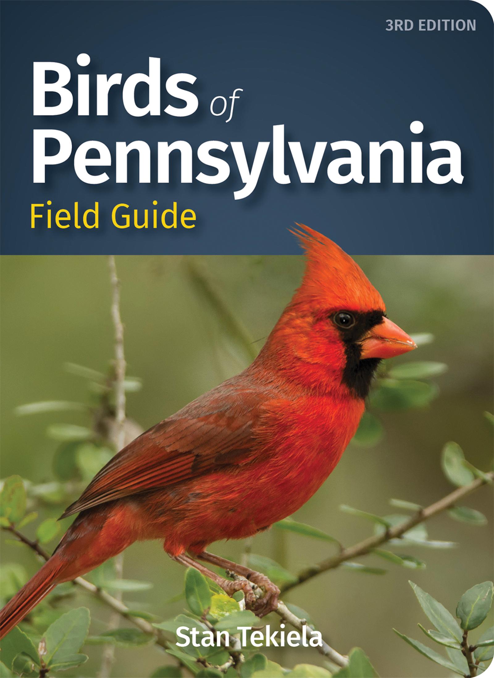 Vorderes Coverbild Birds of Pennsylvania Field Guide