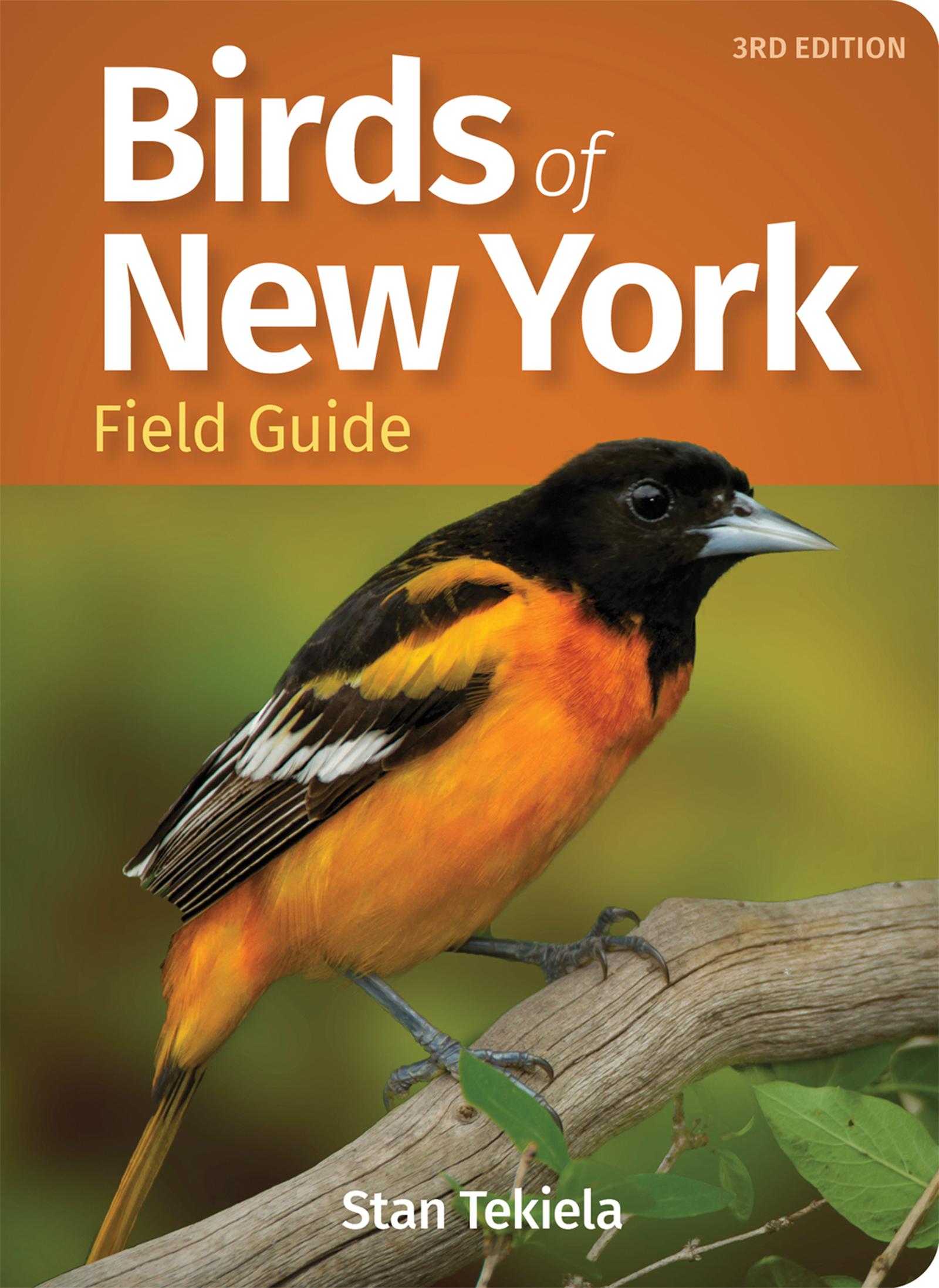 Vorderes Coverbild Birds of New York Field Guide