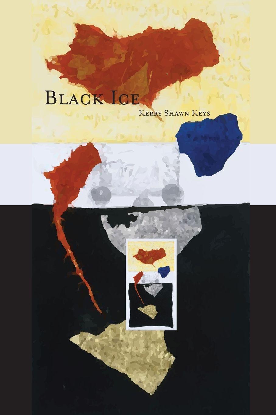 Vorderes Coverbild Black Ice