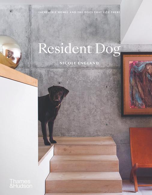 Vorderes Coverbild Resident Dog (Compact)