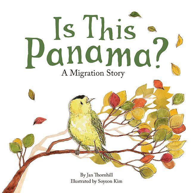 Vorderes Coverbild Is This Panama?