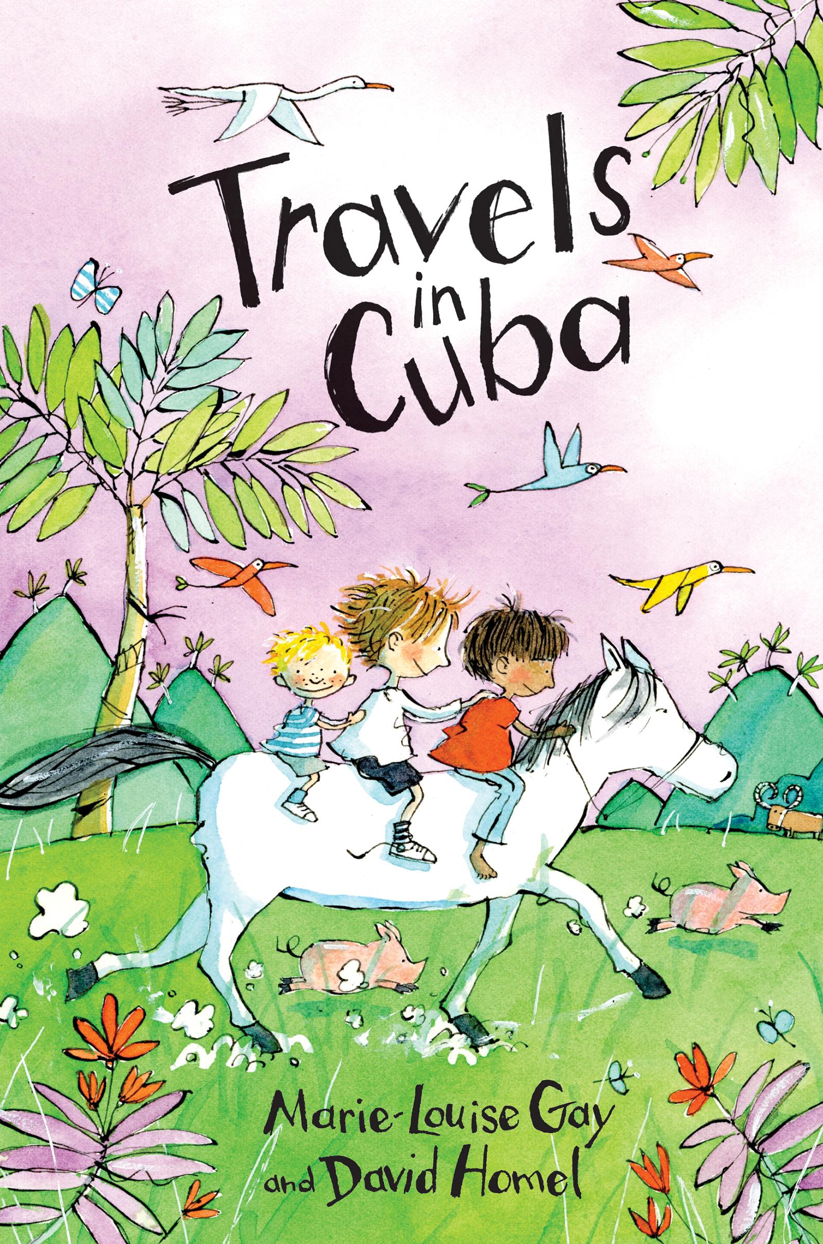 Vorderes Coverbild Travels in Cuba