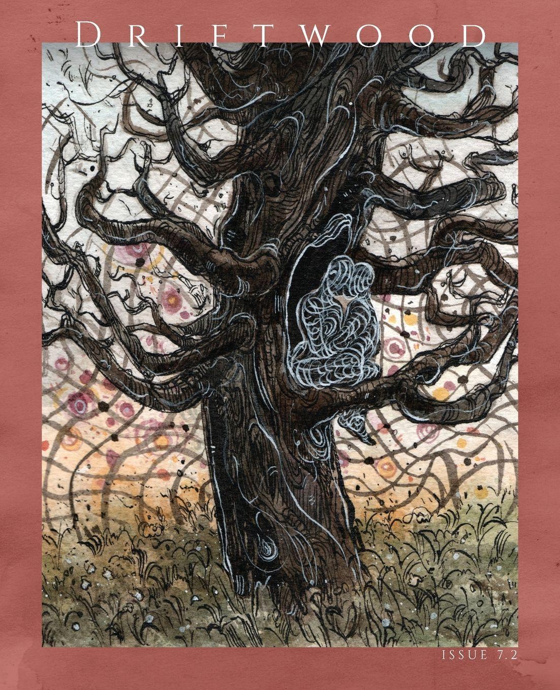 Vorderes Coverbild Driftwood Press 7.2