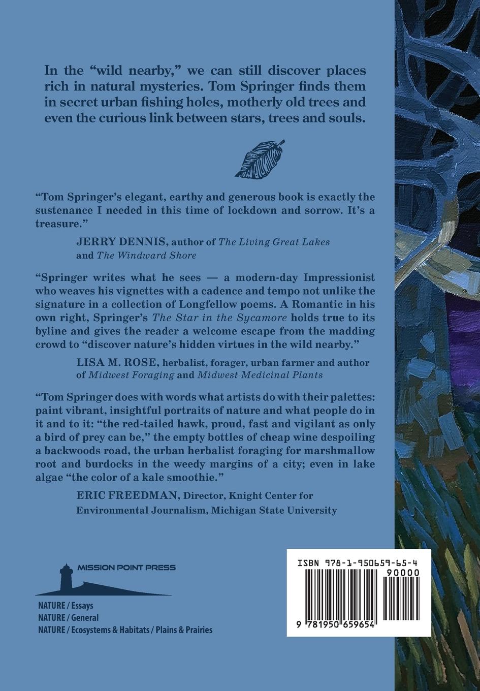 Rückseitencover The Star in the Sycamore