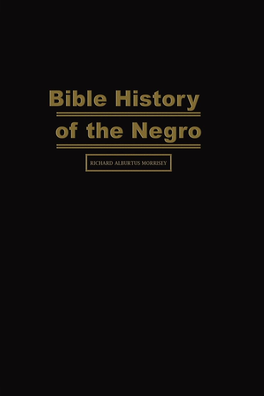 Vorderes Coverbild Bible History of the Negro