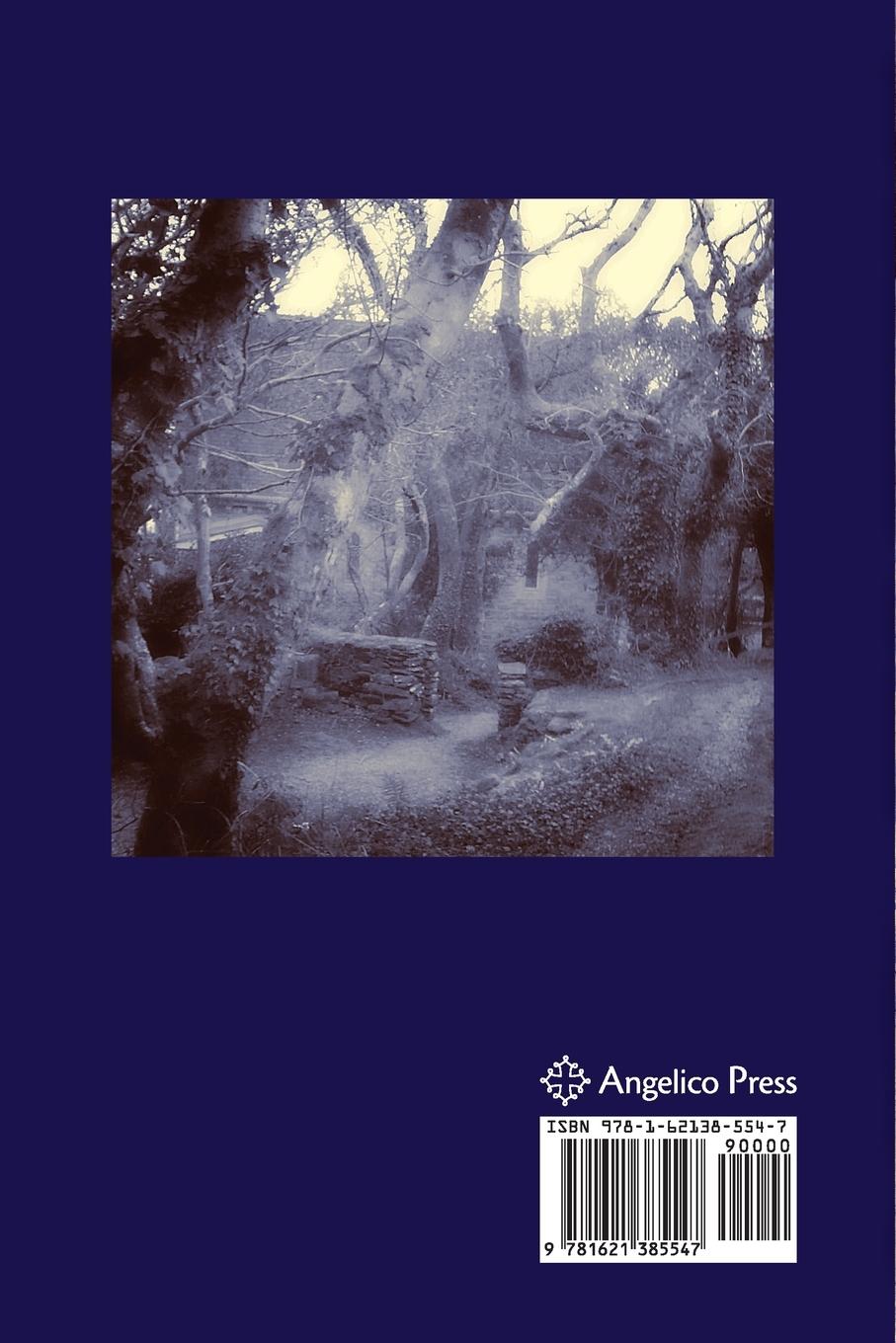 Rückseitencover Jesus the Imagination