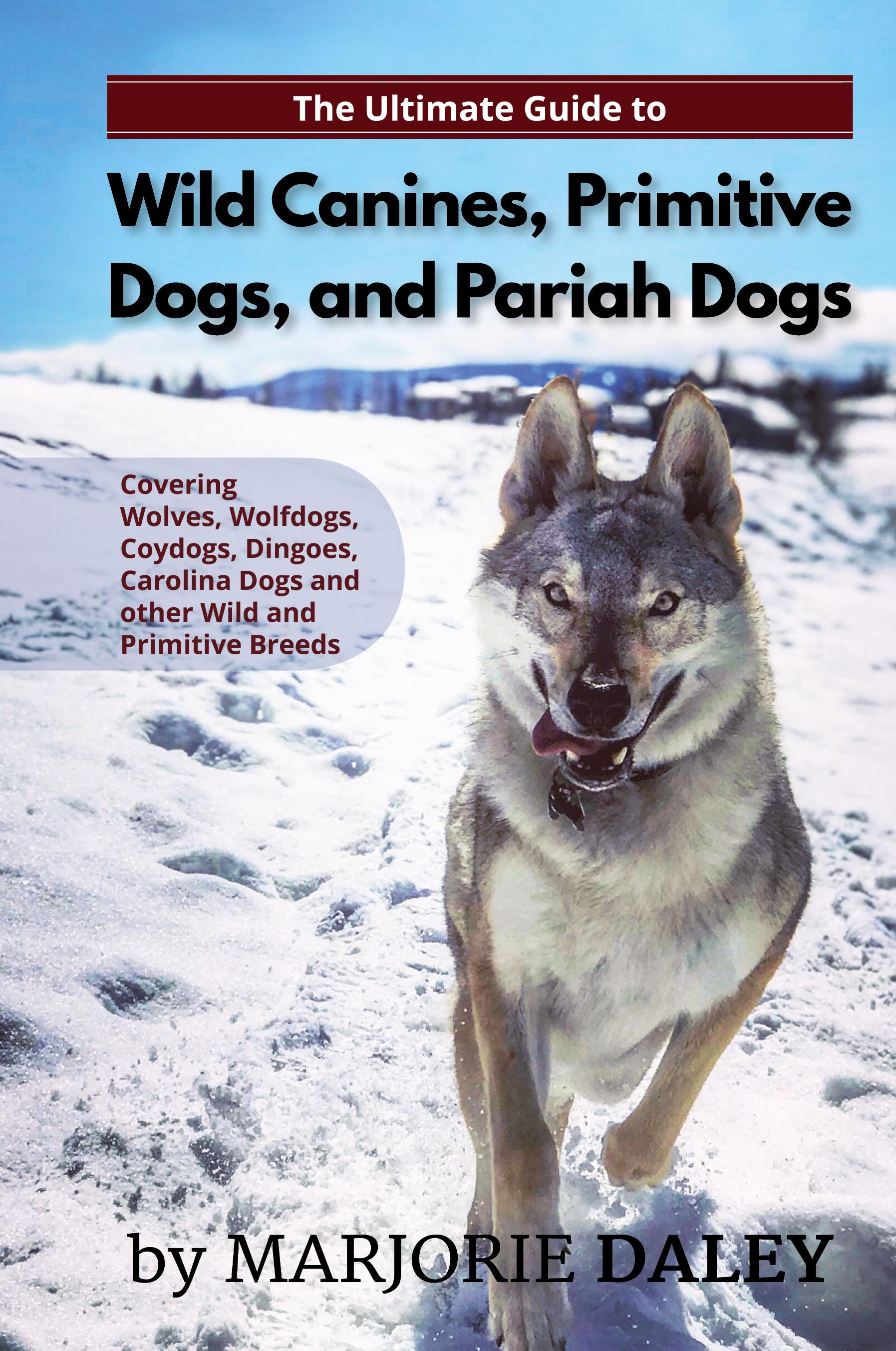 Vorderes Coverbild The Ultimate Guide to Wild Canines, Primitive Dogs, and Pariah Dogs