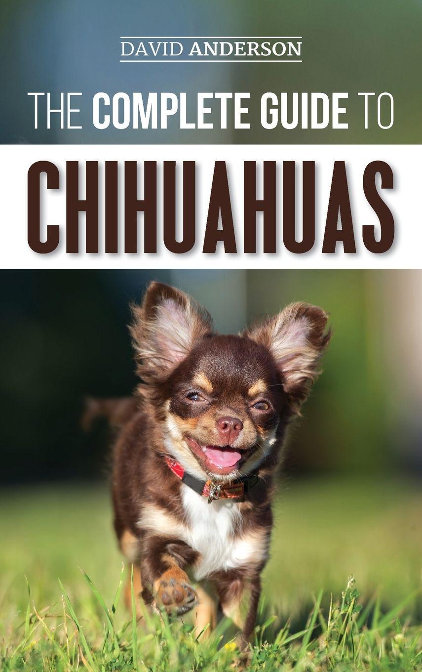 Vorderes Coverbild The Complete Guide to Chihuahuas