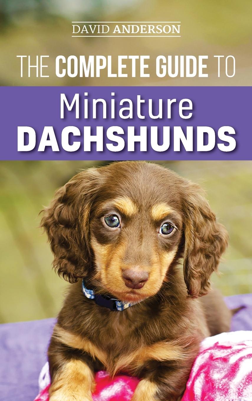 Vorderes Coverbild The Complete Guide to Miniature Dachshunds