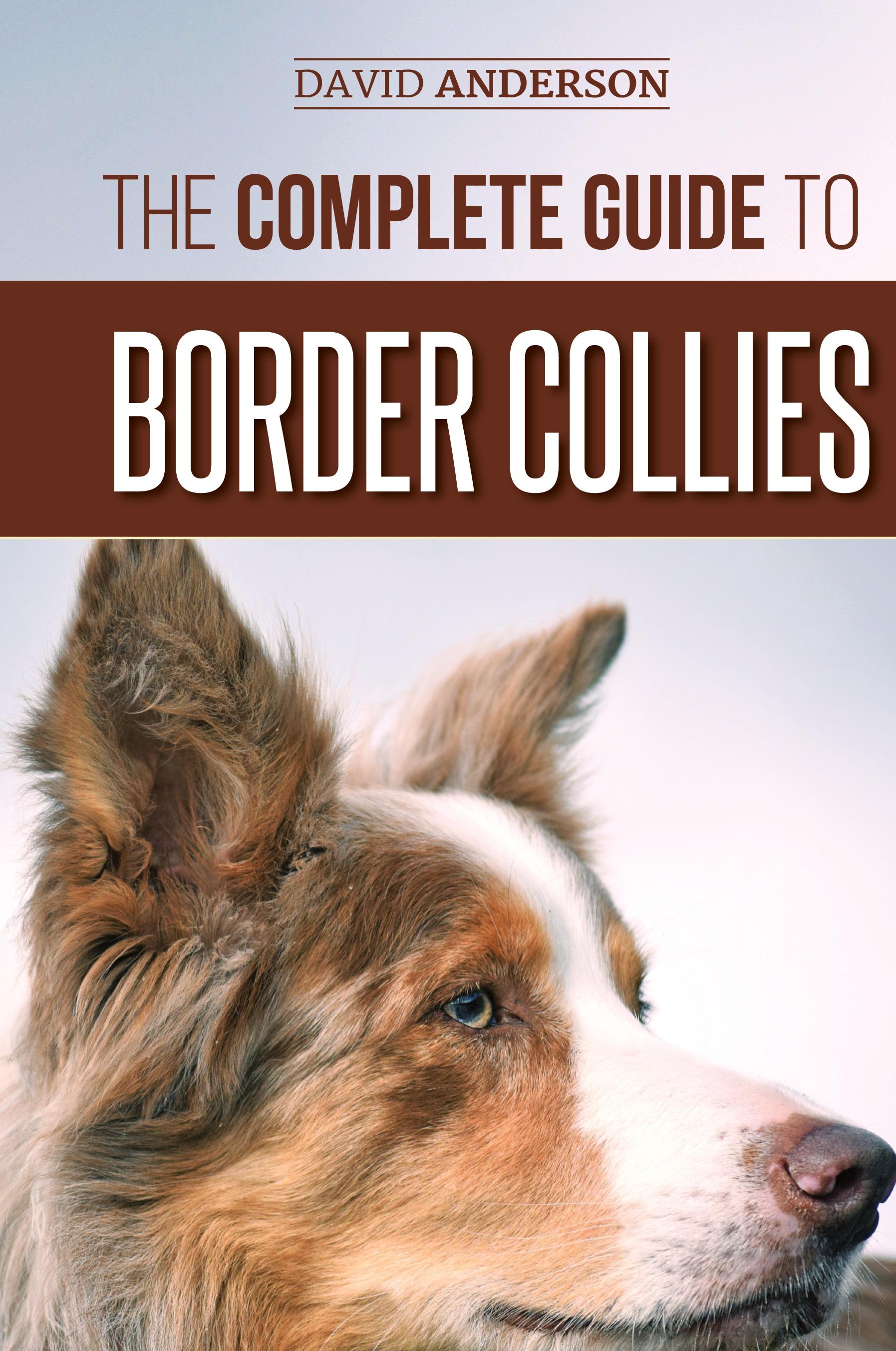 Vorderes Coverbild The Complete Guide to Border Collies