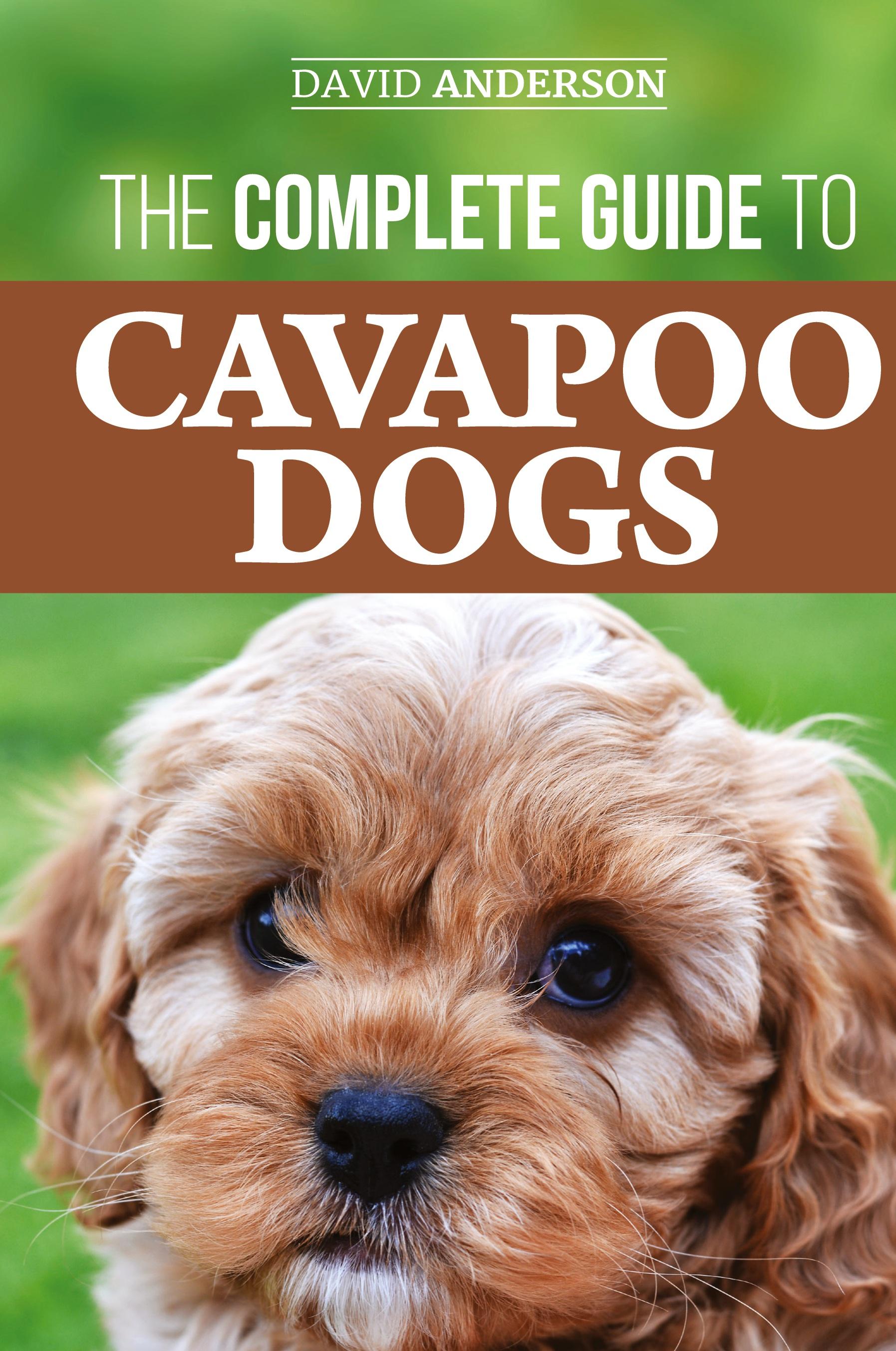 Vorderes Coverbild The Complete Guide to Cavapoo Dogs