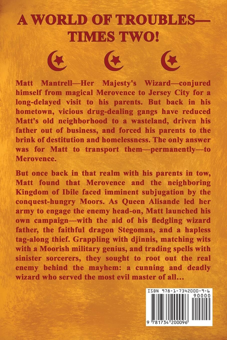 Rückseitencover My Son, the Wizard