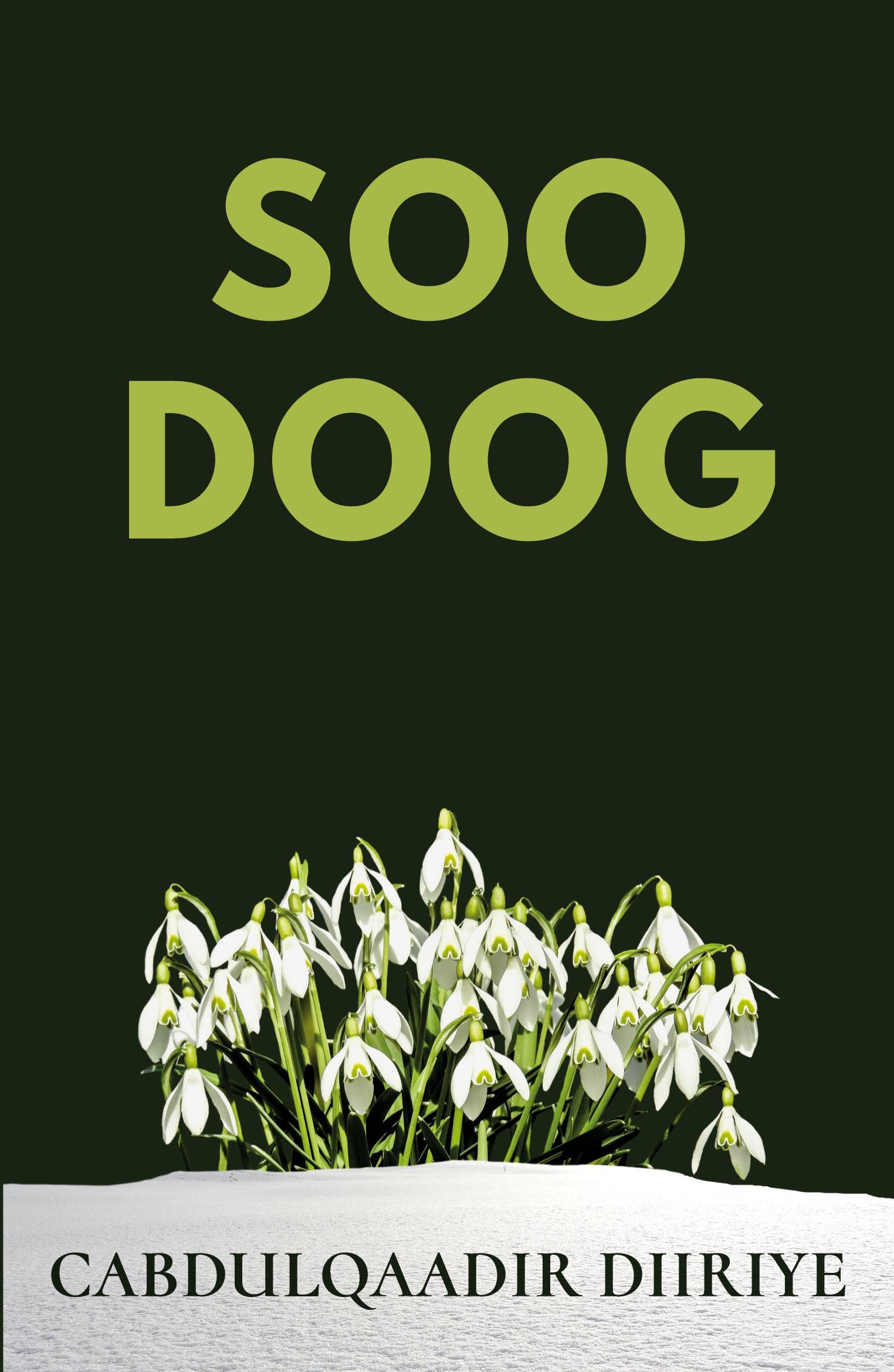 Vorderes Coverbild Soodoog