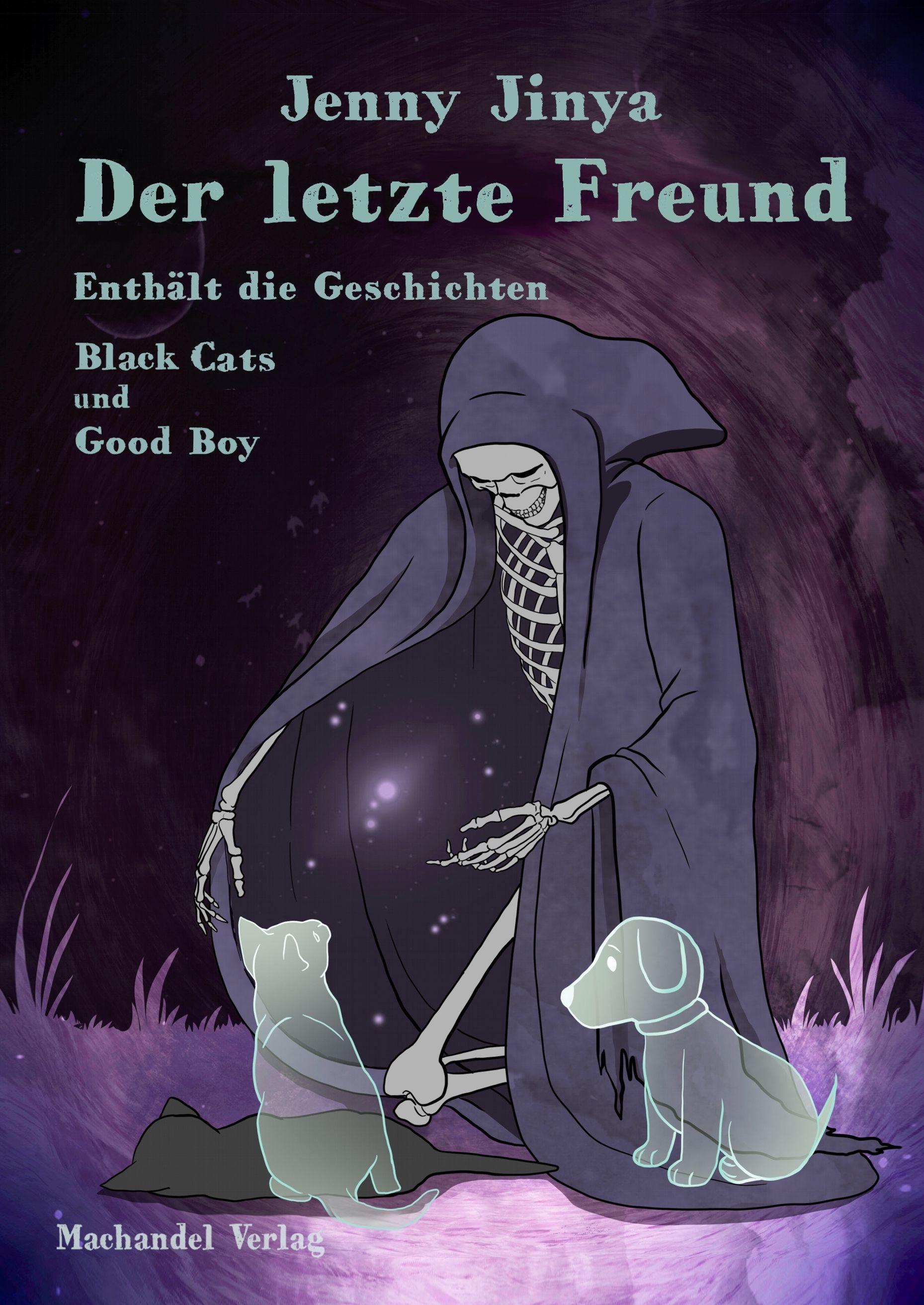 Vorderes Coverbild Der letzte Freund
