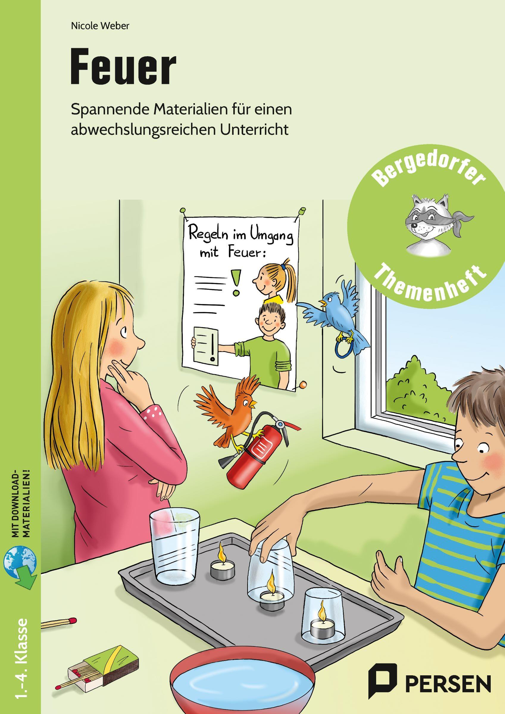 Vorderes Coverbild Feuer