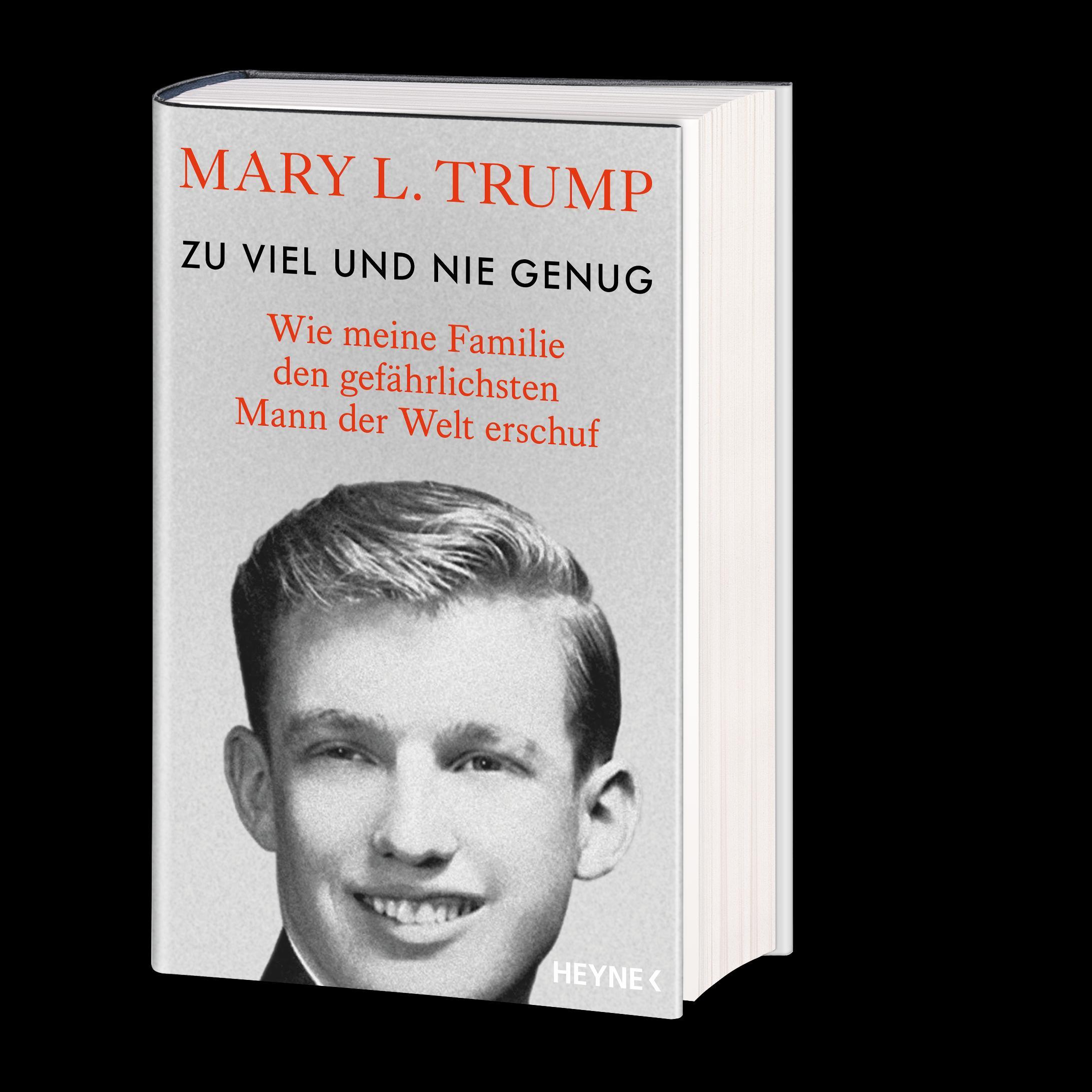 Beispielinhalt (Bild) Zu viel und nie genug