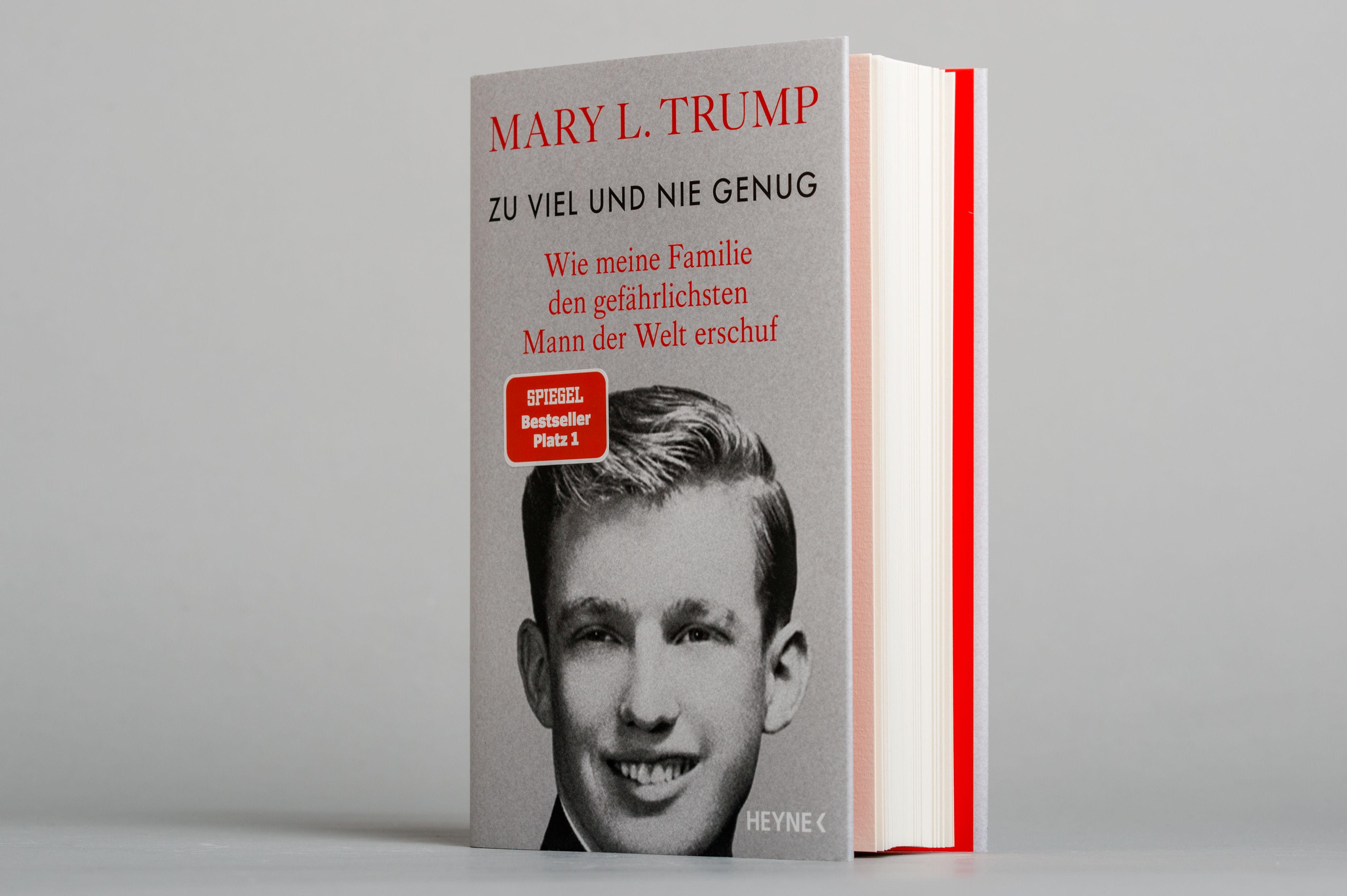 Beispielinhalt (Bild) Zu viel und nie genug