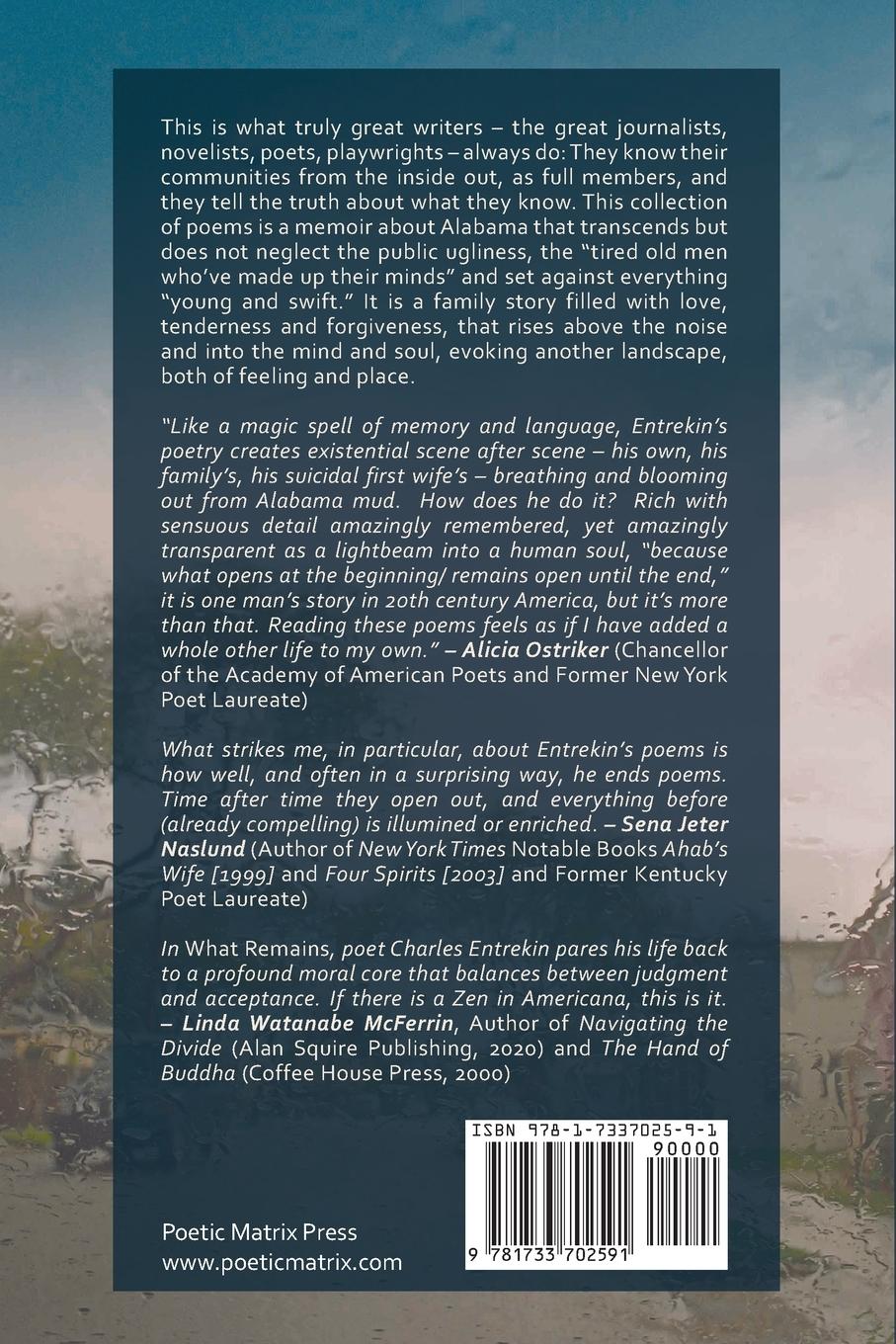 Rückseitencover What Remains