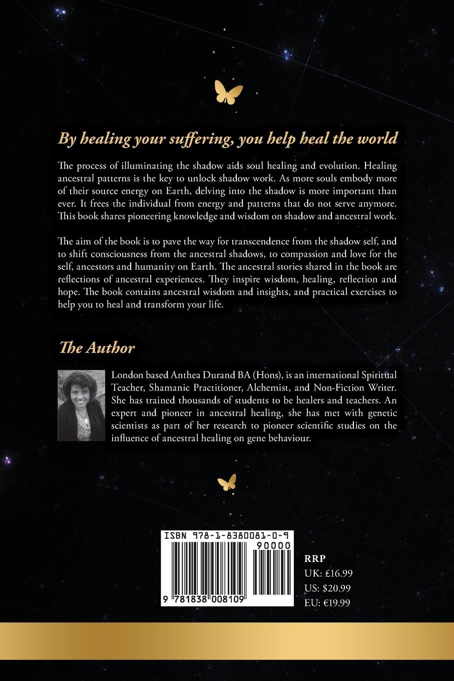 Rückseitencover Illumination of the Shadow