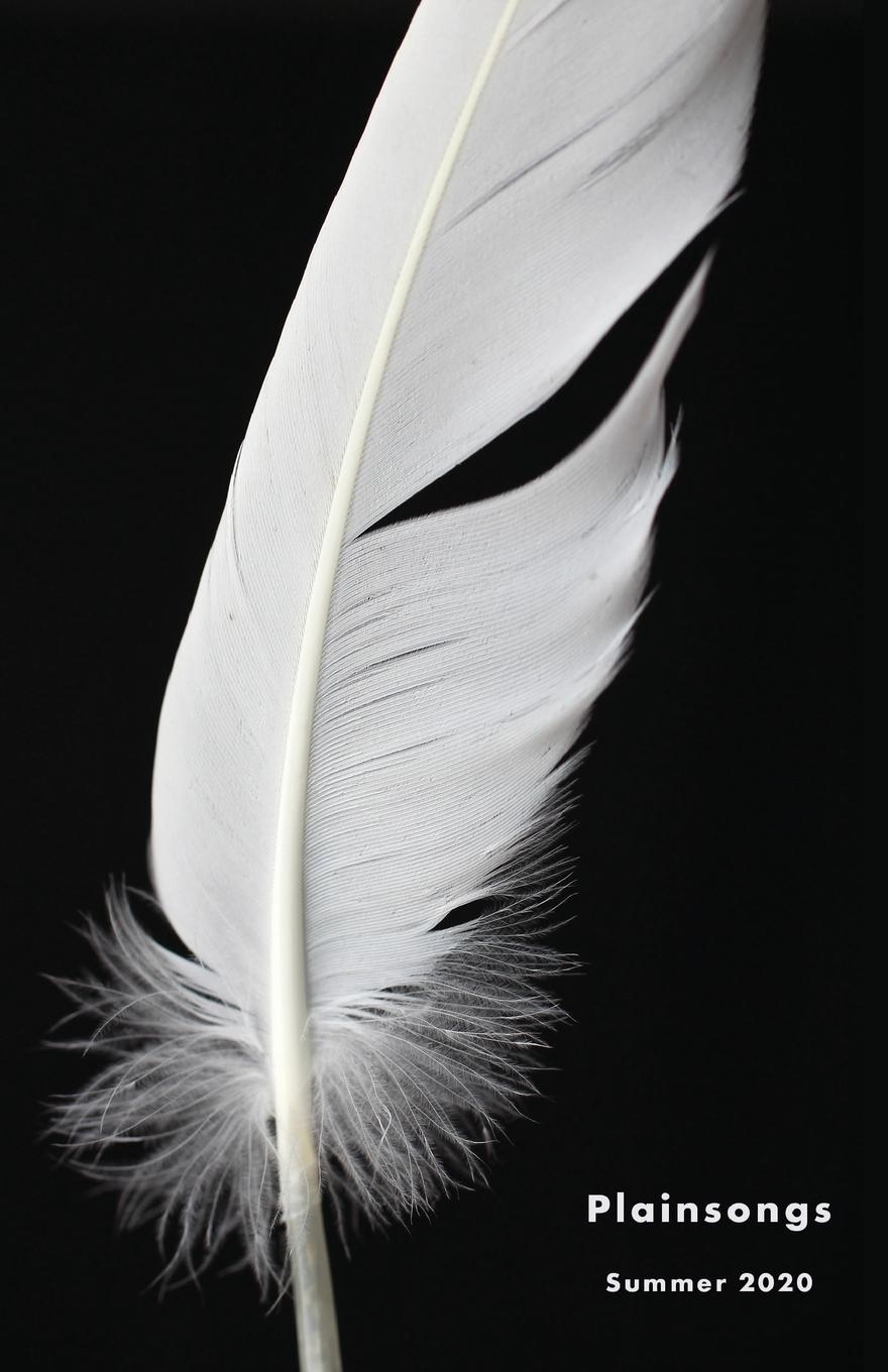 Vorderes Coverbild Plainsongs 40.2 (Summer 2020)