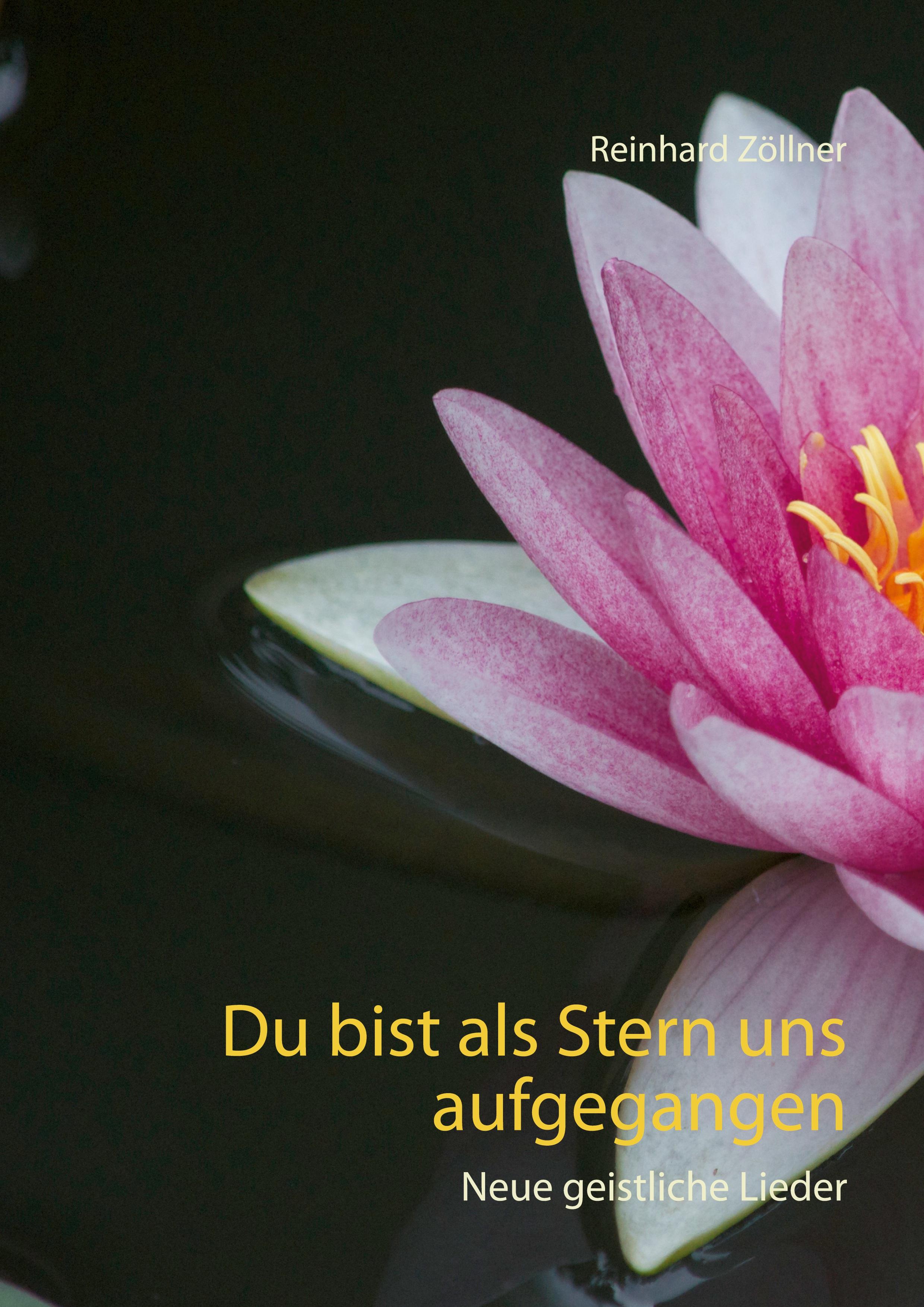 Vorderes Coverbild Du bist als Stern uns aufgegangen