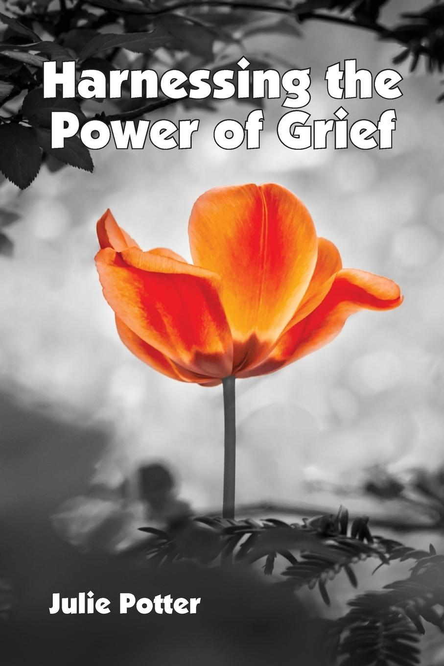 Vorderes Coverbild Harnessing the Power of Grief