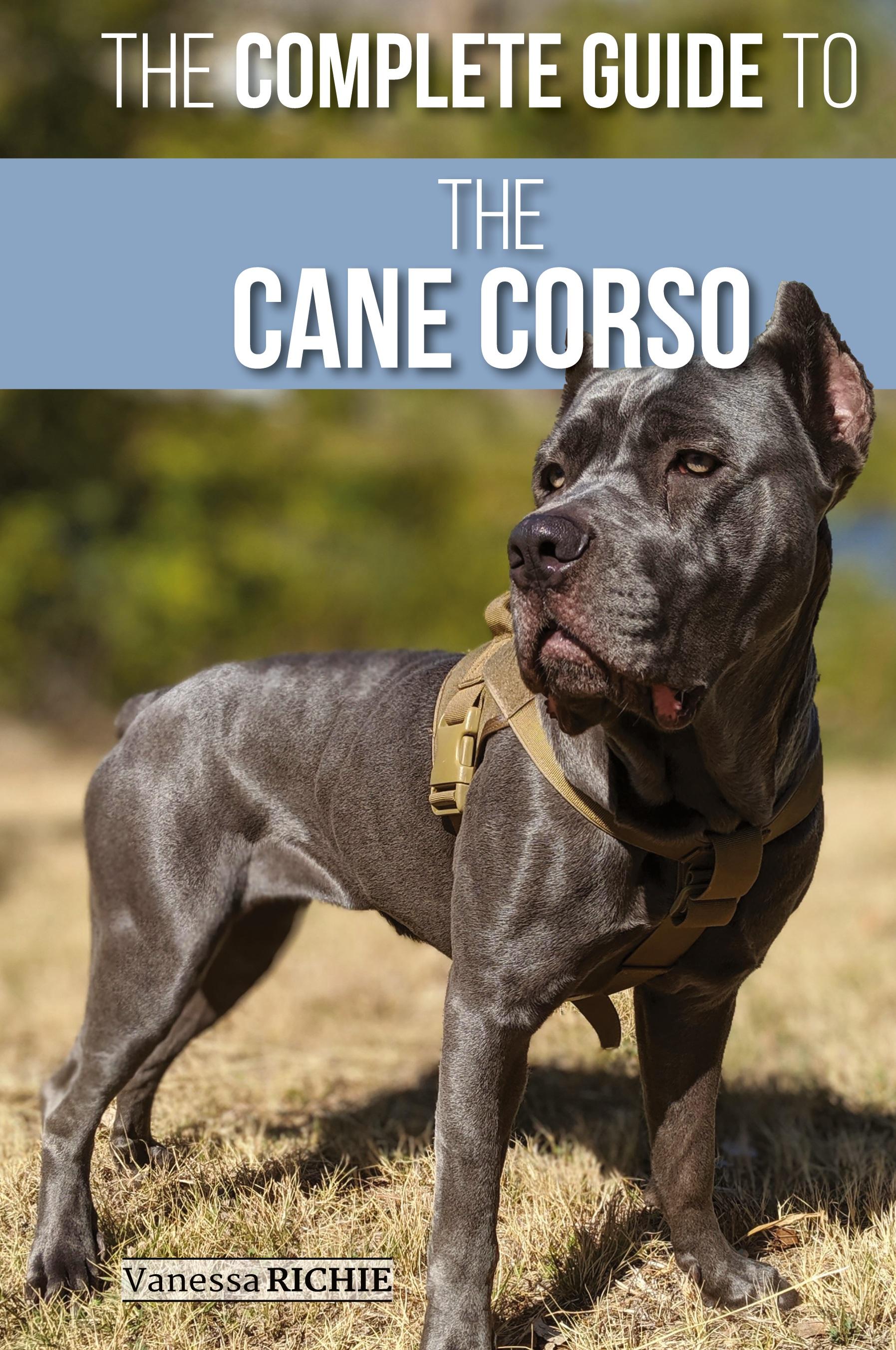 Vorderes Coverbild The Complete Guide to the Cane Corso
