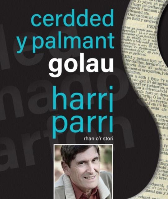 Vorderes Coverbild Cerdded y Palmant Golau