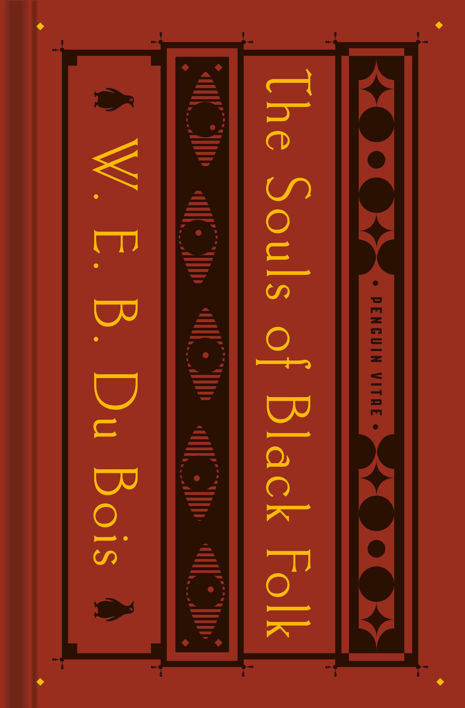 Vorderes Coverbild The Souls of Black Folk