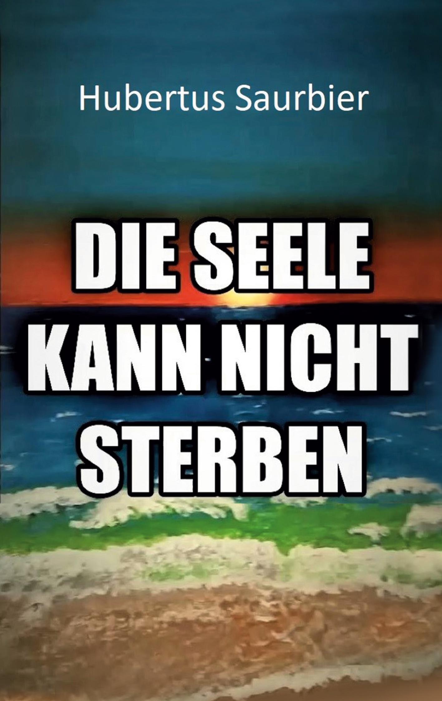 Vorderes Coverbild Die Seele kann nicht sterben
