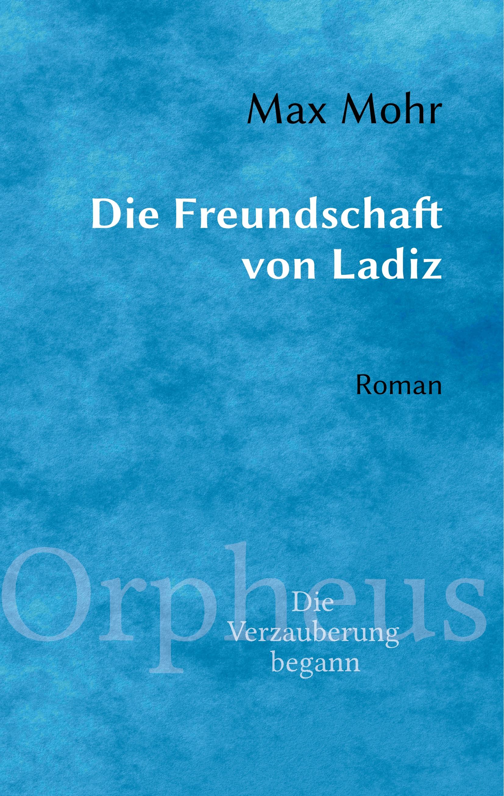 Vorderes Coverbild Die Freundschaft von Ladiz