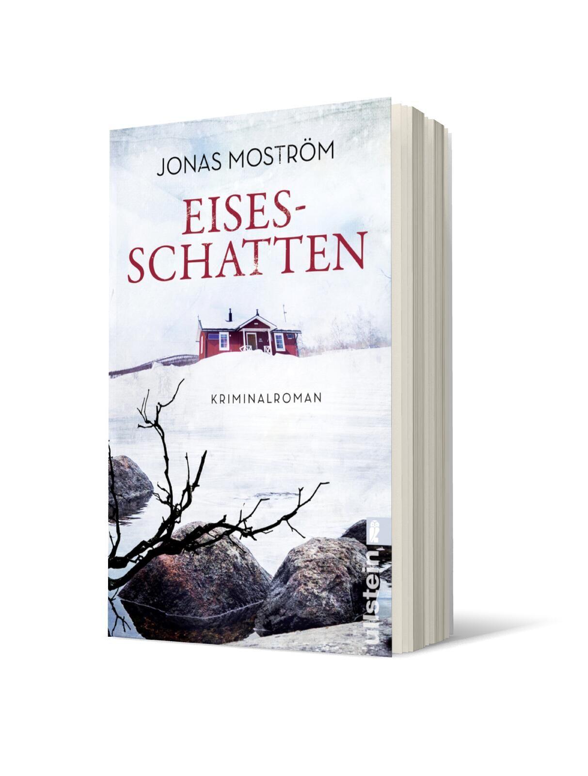 Vorderes Coverbild Eisesschatten