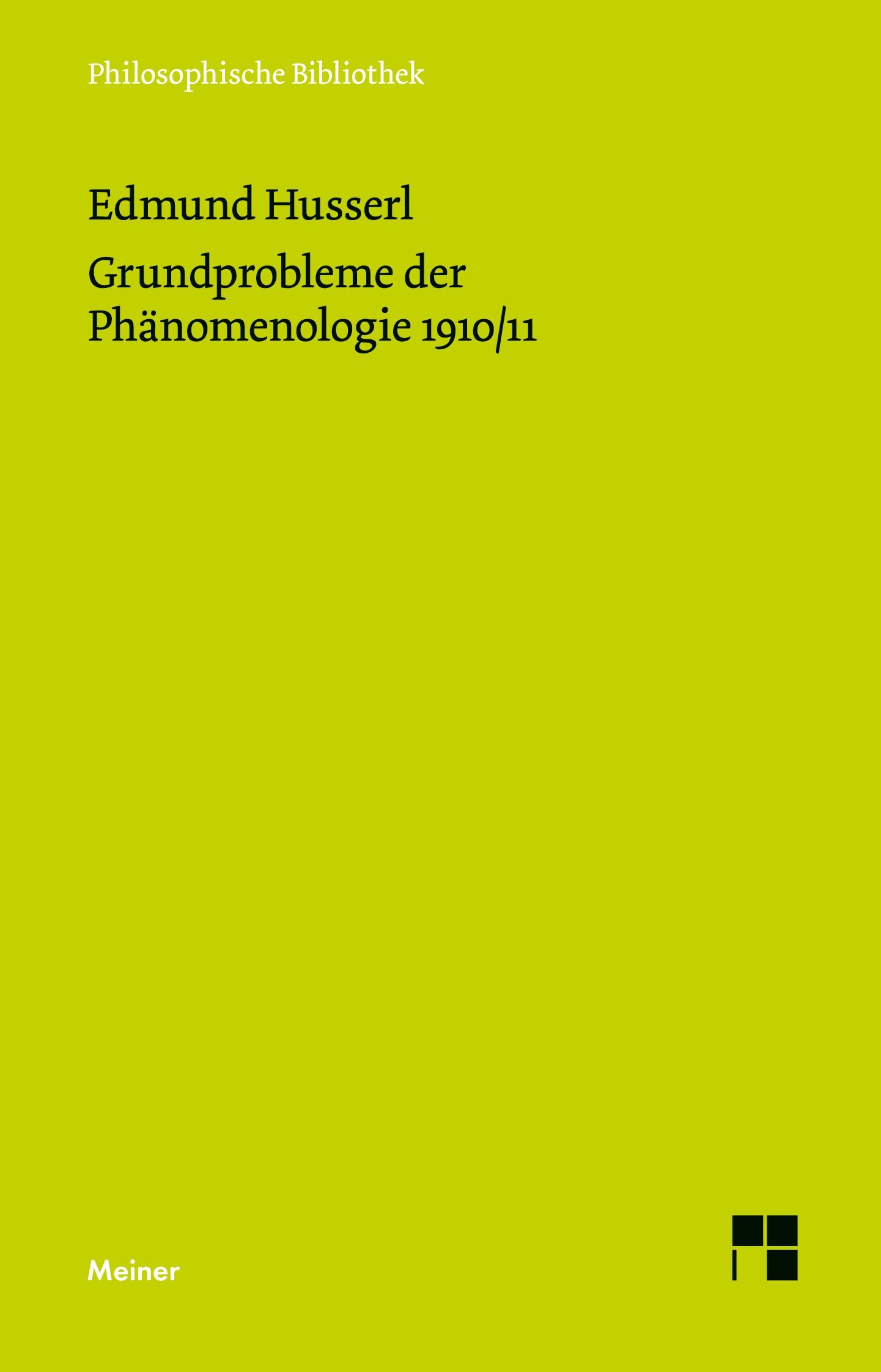 Vorderes Coverbild Grundprobleme der Phänomenologie 1910/11