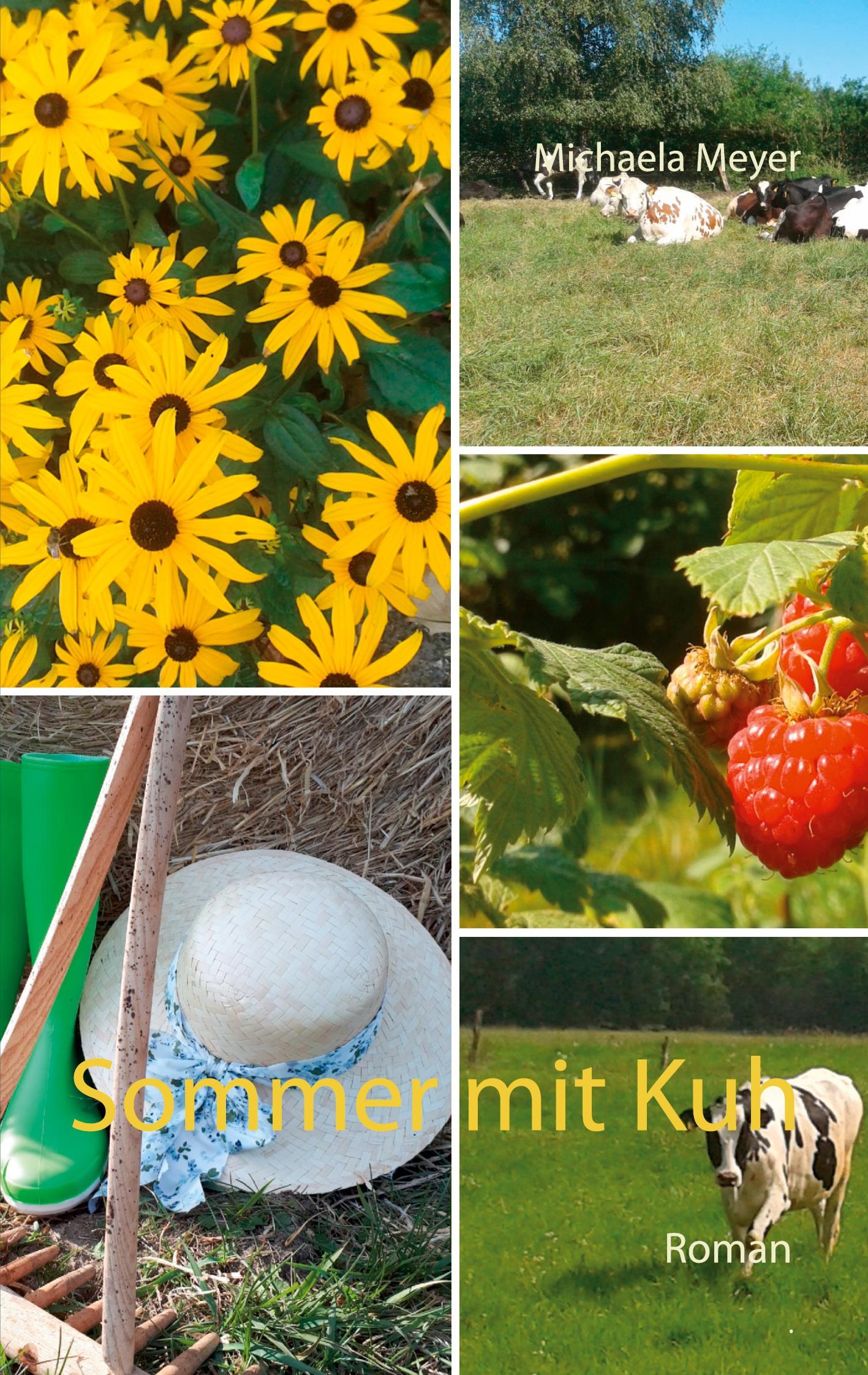 Vorderes Coverbild Sommer mit Kuh