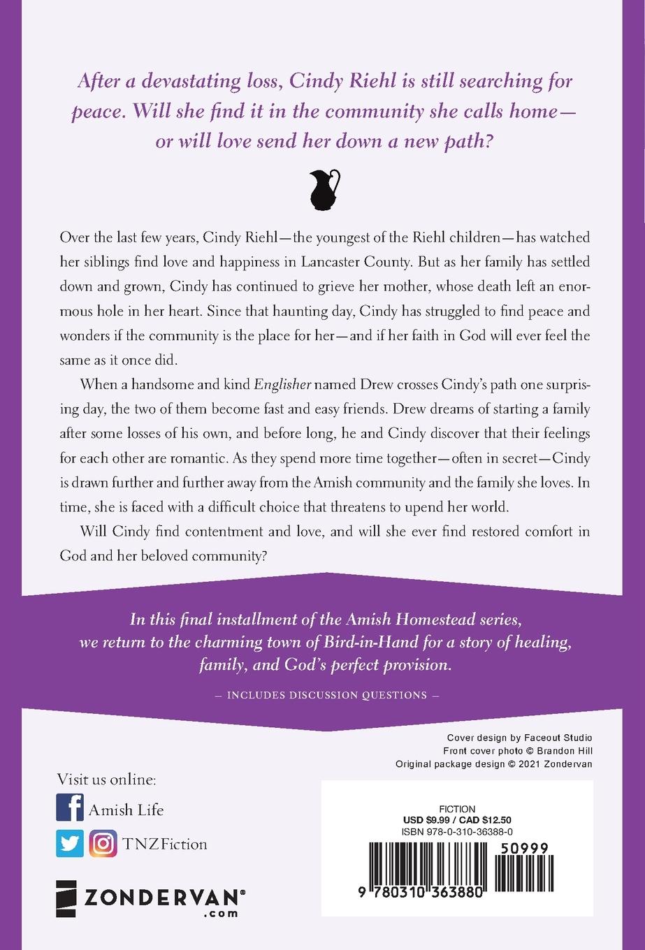 Rückseitencover A Welcome at Our Door