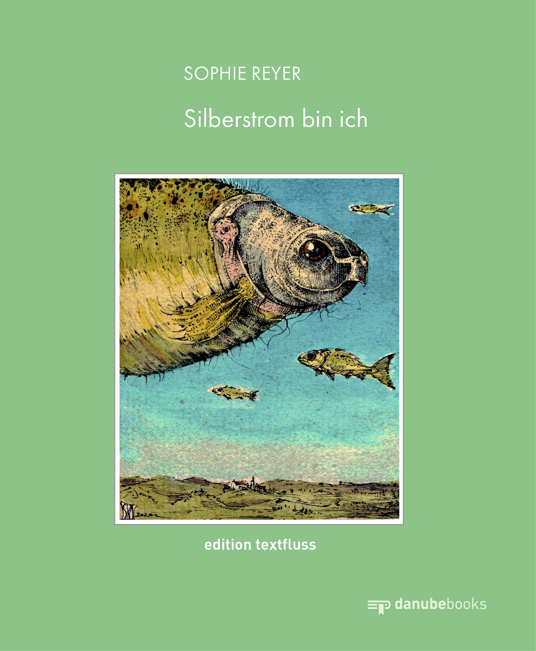 Vorderes Coverbild Silberstrom bin ich