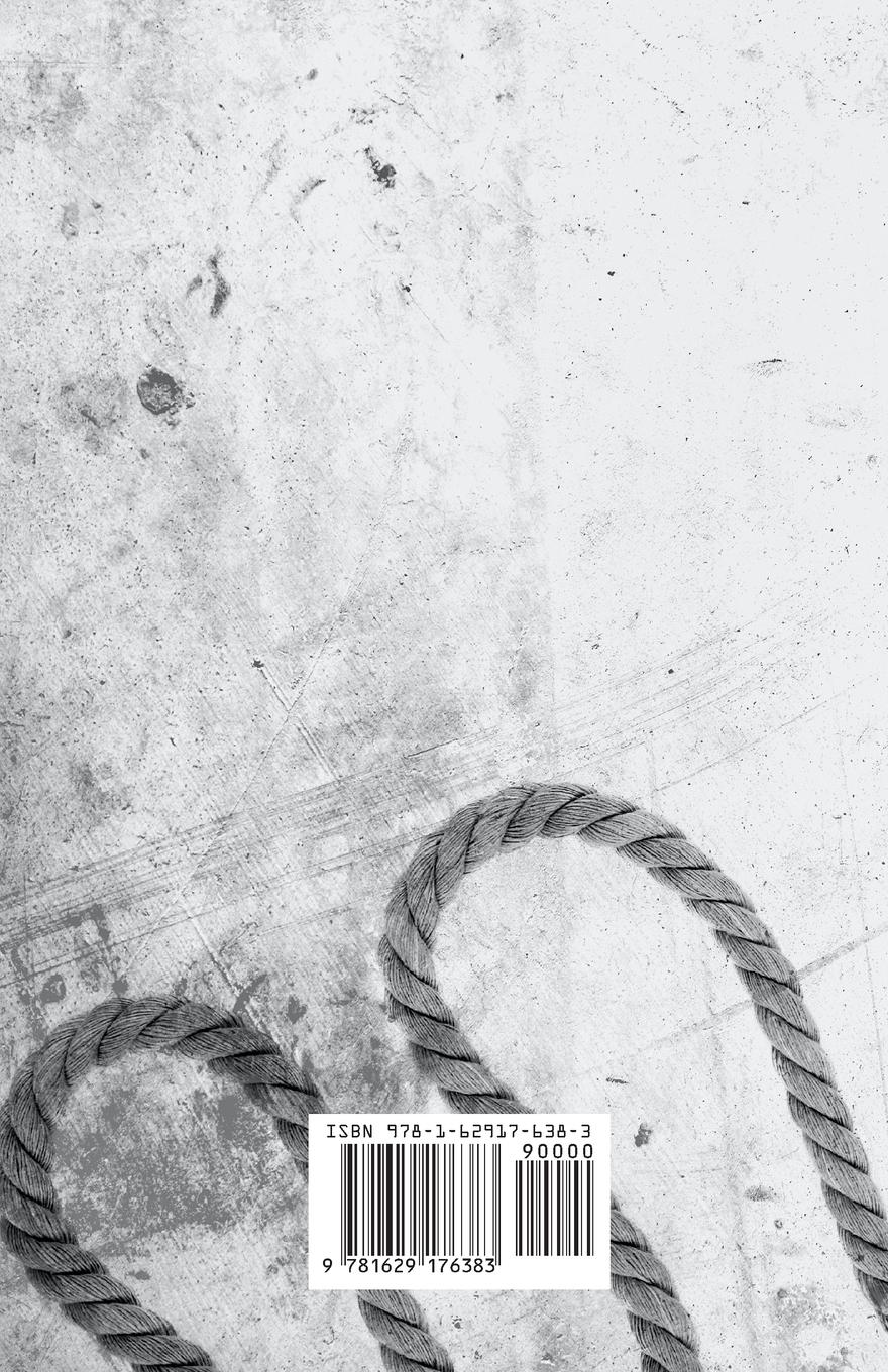 Rückseitencover The Perfect Crime