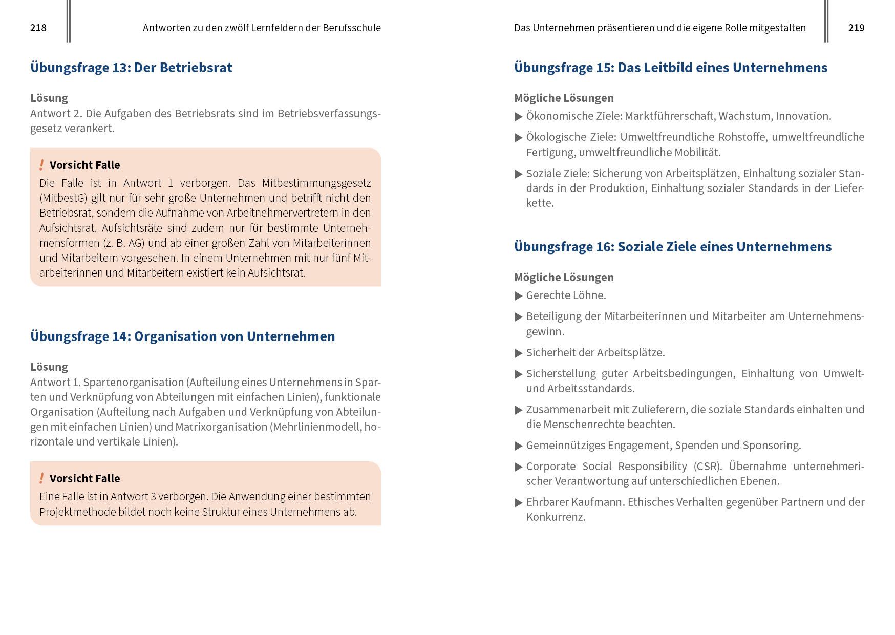 Beispielinhalt (Bild) Kaufmann/Kauffrau im E-Commerce - der Prüfungstrainer