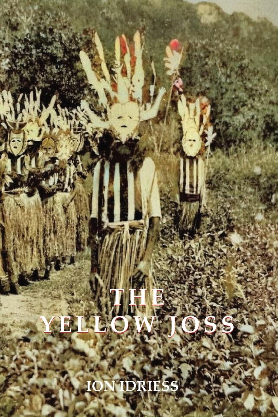 Vorderes Coverbild The Yellow Joss