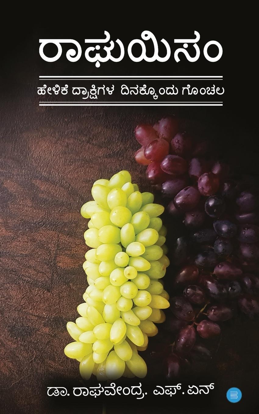 Vorderes Coverbild Raaghuism