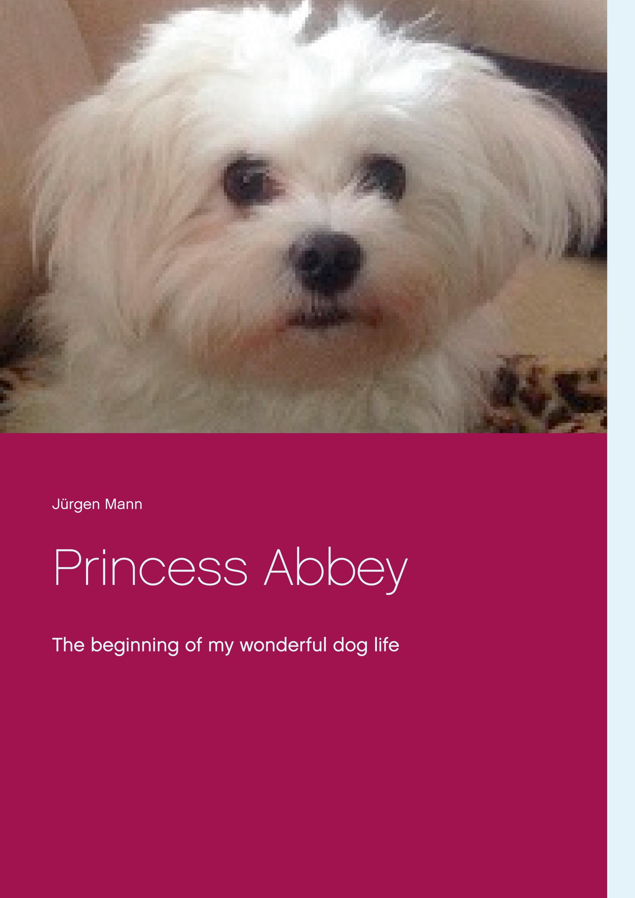 Vorderes Coverbild Princess Abbey