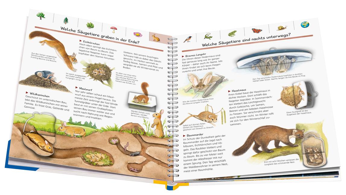 Beispielinhalt (Bild) Wieso? Weshalb? Warum?: Mein großes Natur-Lexikon