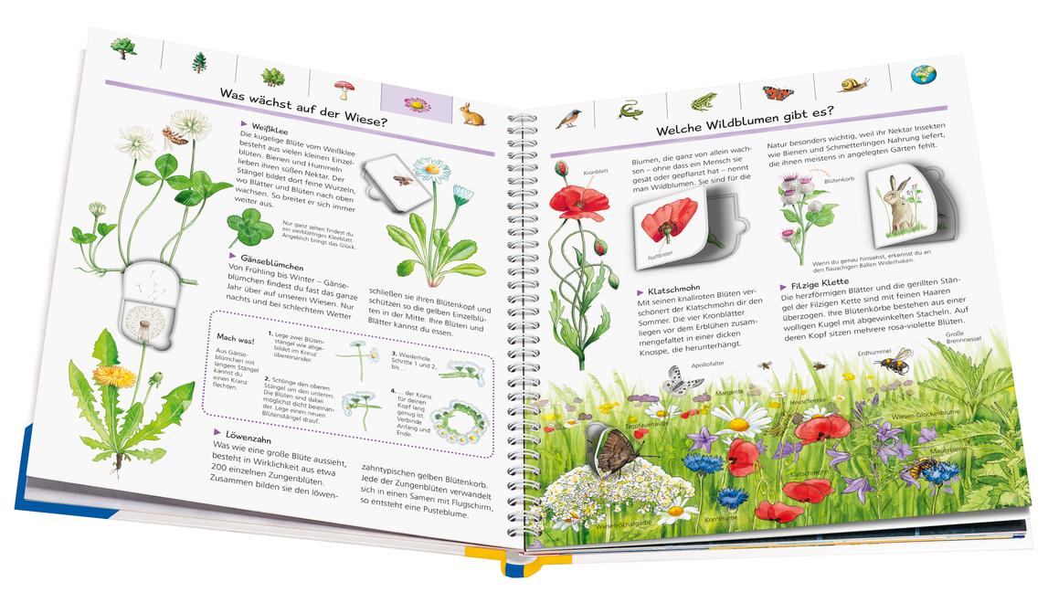 Beispielinhalt (Bild) Wieso? Weshalb? Warum?: Mein großes Natur-Lexikon