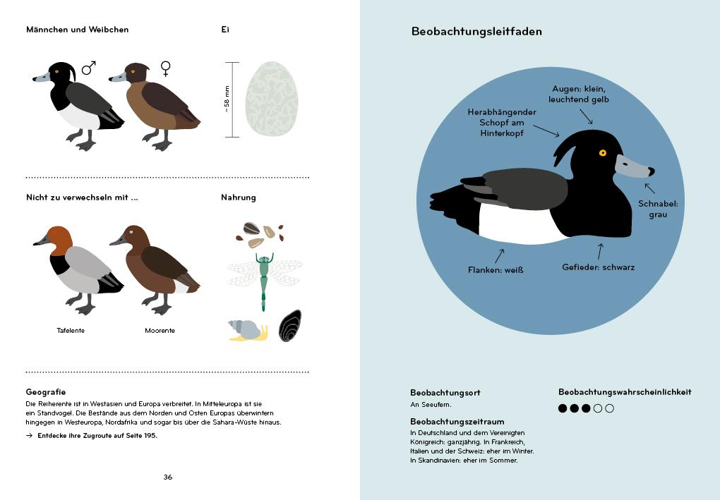 Beispielinhalt (Bild) Ornithorama