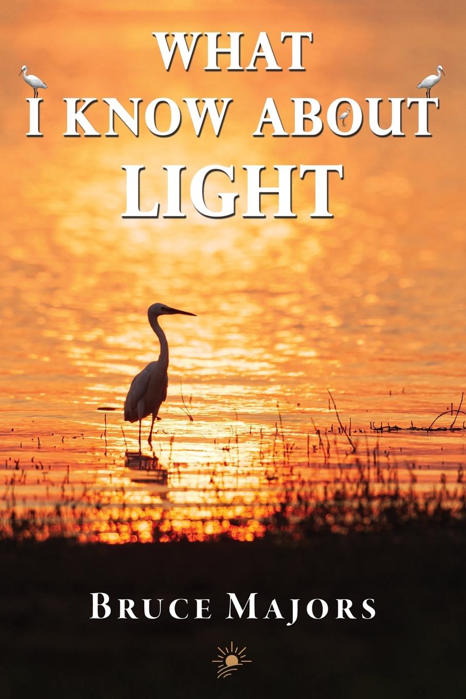 Vorderes Coverbild What I Know About Light